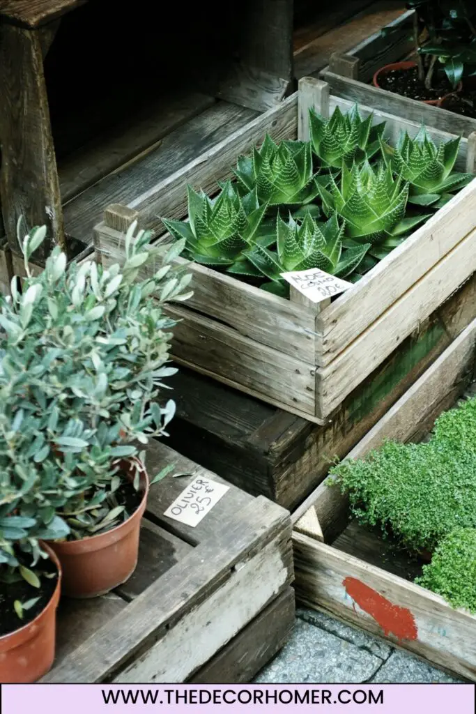 Planter Boxes For Beautification & Greenery
