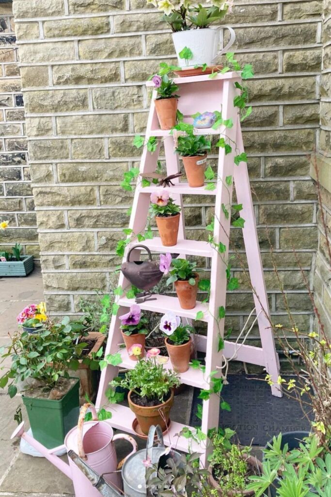 Add DIY Ladder Shelf For Plant