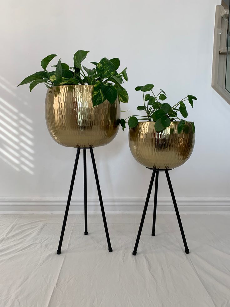 Gold and Black Planters